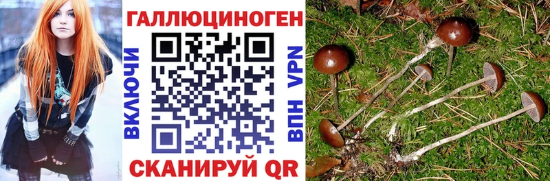 Галлюциногенные грибы прущие грибы  Александровск 