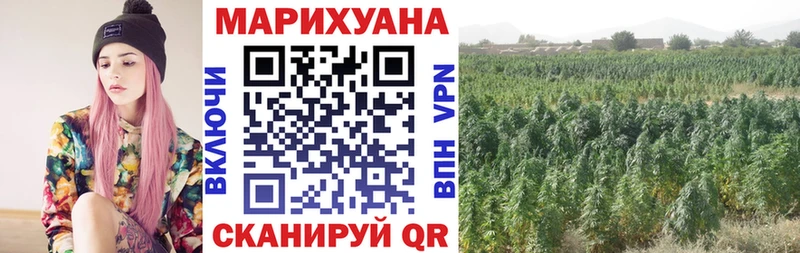 купить наркотики сайты  Александровск  Конопля план 